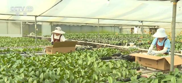 头并进 新品添巧思催热“年经济”新热力新葡京“创意+科技”“传统+新潮”齐(图6)