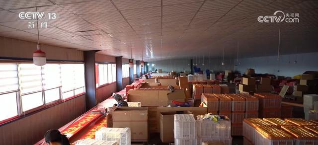 头并进 新品添巧思催热“年经济”新热力新葡京“创意+科技”“传统+新潮”齐(图10)